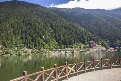 Huge mountains and green forest under the blue sky with clouds form a beautiful landscape in trabzon