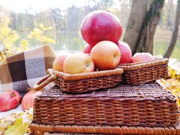 Close-up of fruits in basket
