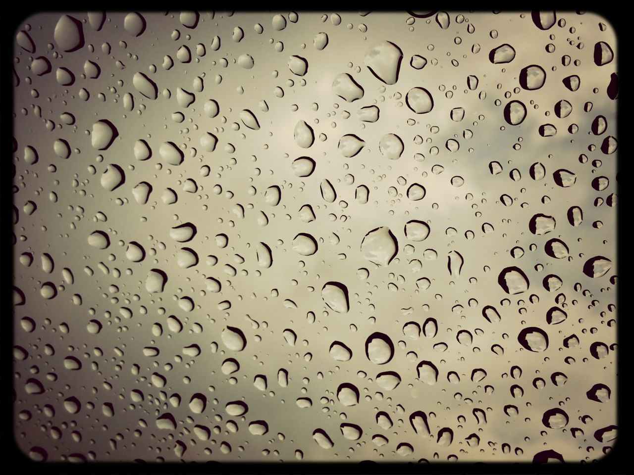 Raindrops on My Windshield