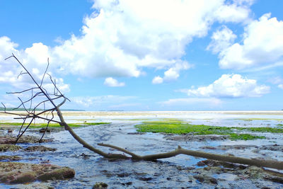 Scenic view of beach against sky