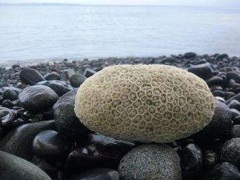 Close-up of stones on beach