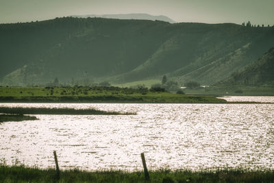 Scenic view of field by lake against sky