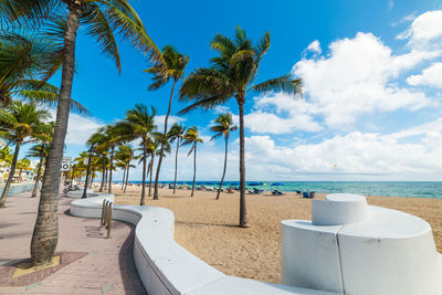 Palm trees on beach against sky