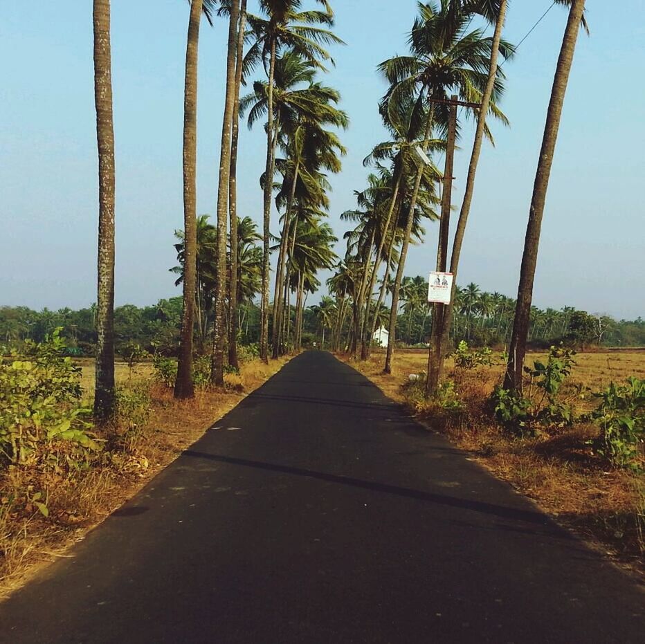 Near St anne's chappel, Goa