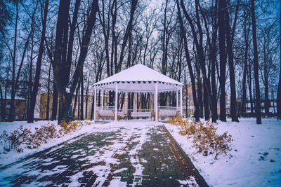 Trees covered with snow during winter