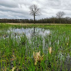 Scenic view of lake against sky