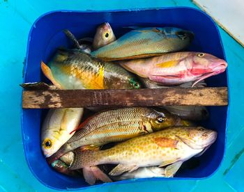 High angle view of fish for sale