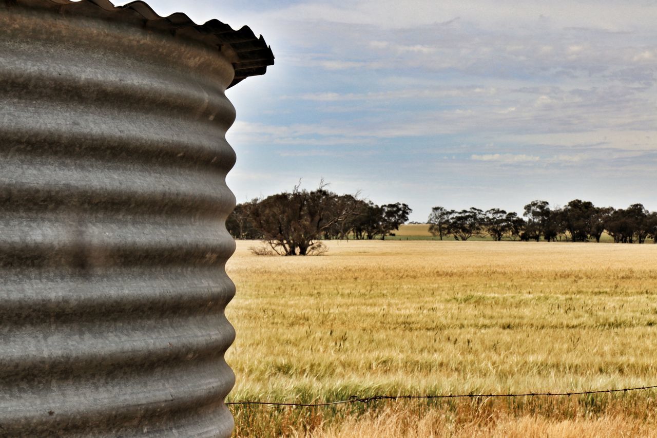 VIEW OF FARM AGAINST SKY