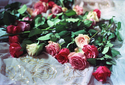 Close-up of rose bouquet