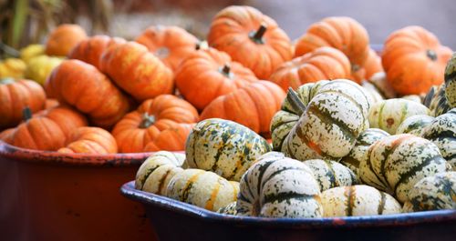 Pumpkins in container