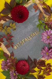 High angle view of flowering plants