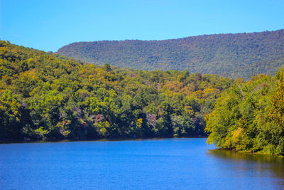 Scenic view of lake in forest against clear blue sky