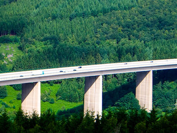 Bridge over trees