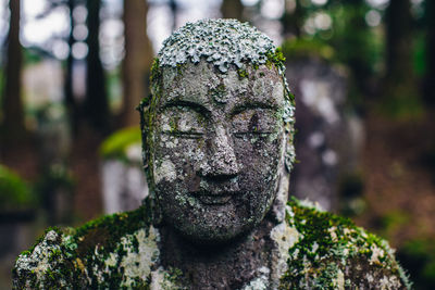 Close-up of statue against tree trunk