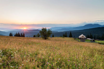 Scenic view of field against sky during sunset