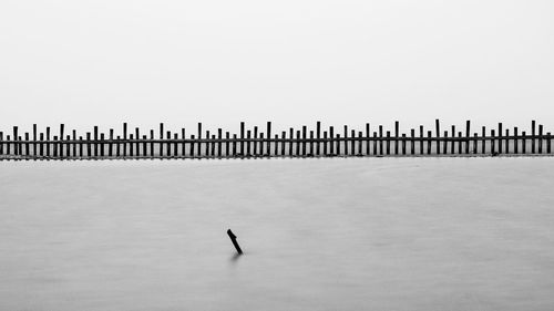 Silhouette birds on person against clear sky