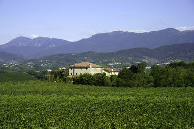 Scenic view of field and mountains against sky