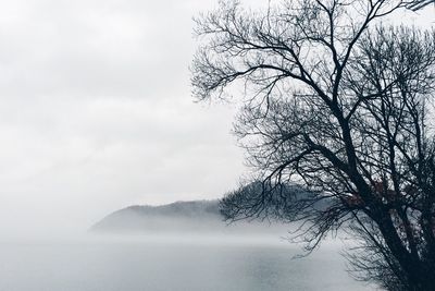 Bare tree by lake against sky during foggy weather