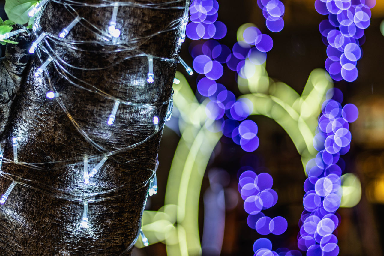 LOW ANGLE VIEW OF ILLUMINATED CHRISTMAS DECORATIONS HANGING ON TREE