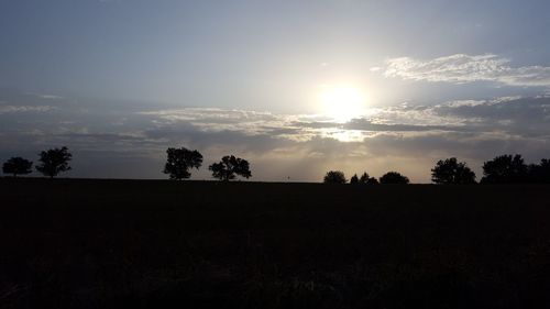 Silhouette trees on field against sky at sunset
