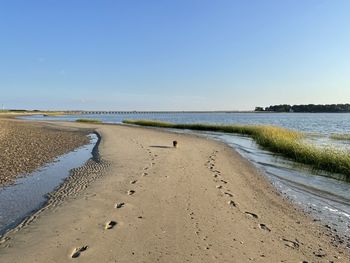 Scenic view of beach against clear sky