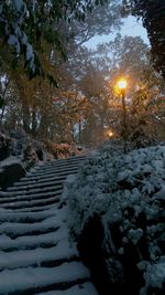 Snow covered street by trees during winter