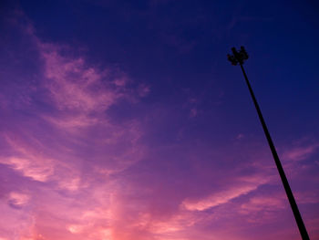 Low angle view of flowering plant against blue sky