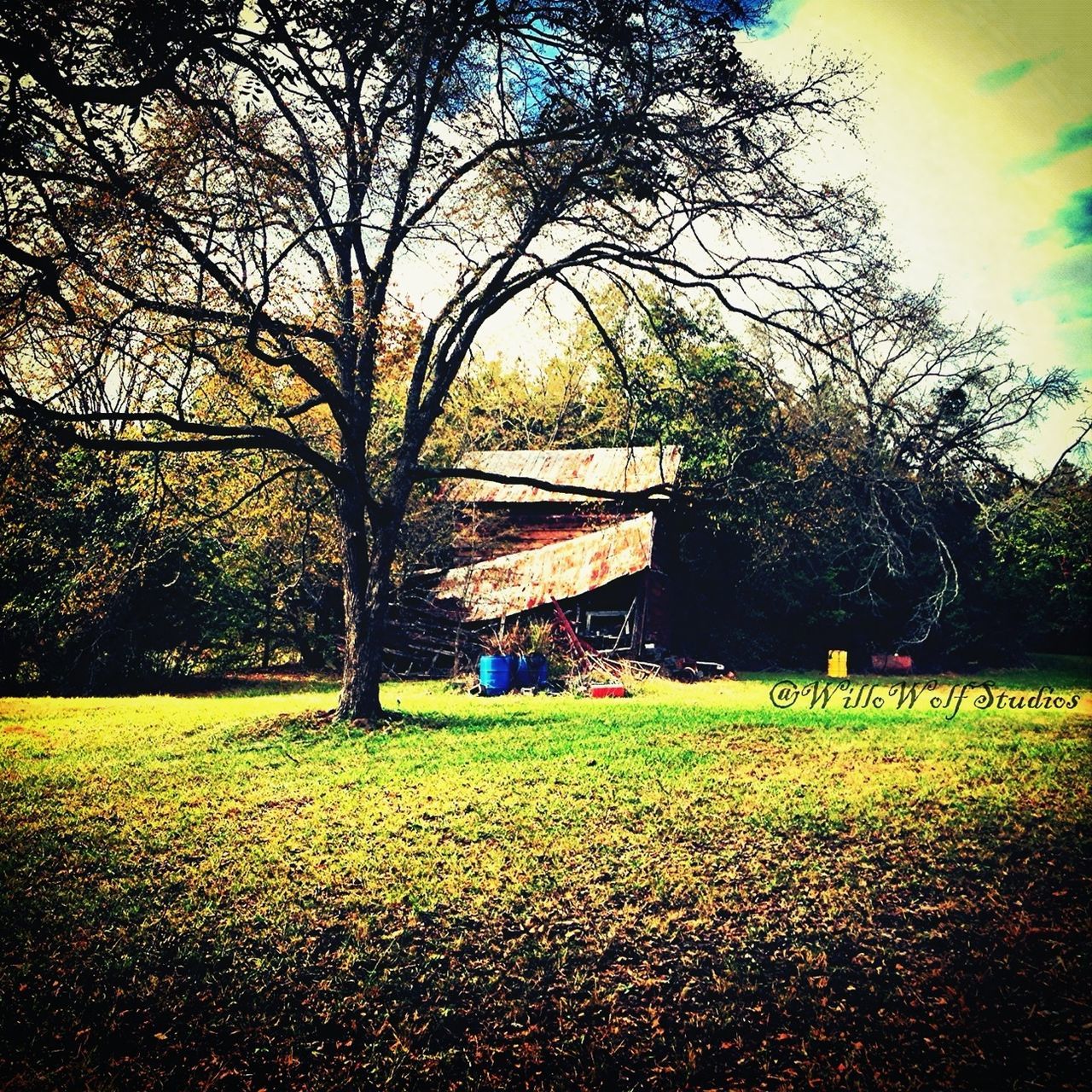 tree, grass, built structure, architecture, building exterior, field, growth, nature, tranquility, landscape, tranquil scene, beauty in nature, park - man made space, house, green color, sky, branch, lawn, sunlight, outdoors