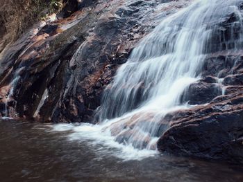 Scenic view of waterfall in forest