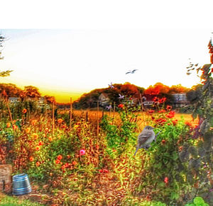 Scenic view of flowering plants and trees against clear sky