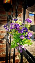 Close-up of purple flowering plant