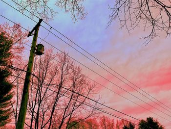 Low angle view of tree against sky during sunset