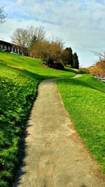 Trees on grassy field