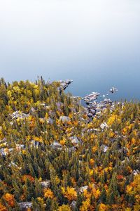 High angle view of flowering plants by sea against sky