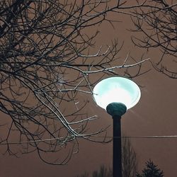 Low angle view of bare tree against sky