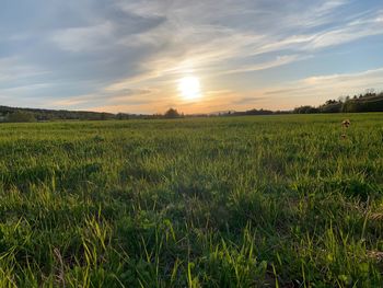 Scenic view of field against sky during sunset