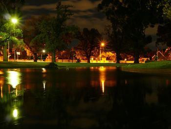 Reflection of trees in water at night