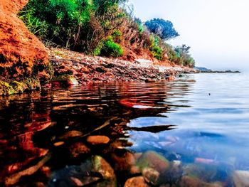 Surface level of rocks by sea against sky