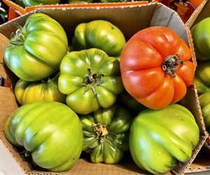 Close-up of heirloom tomatoes 