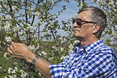 Close-up of senior man wearing sunglasses picking flowers from tree
