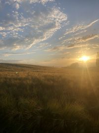 Scenic view of field against sky during sunset