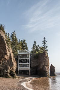 Rock formation amidst trees against sky