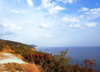 Scenic view of sea against sky