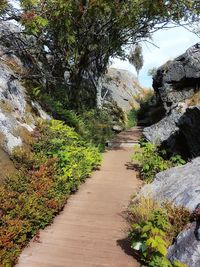 Walkway by river against sky