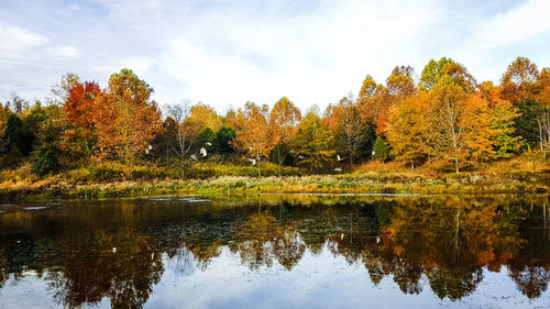Reflection of trees in lake against sky during autumn