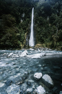 Scenic view of waterfall in forest