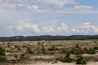 Scenic view of landscape against sky
