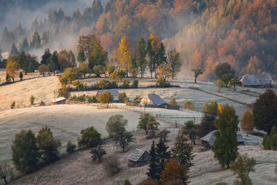 High angle view of trees on field during autumn