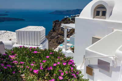 Spring flowers and the beautiful architecture of the cities in santorini island