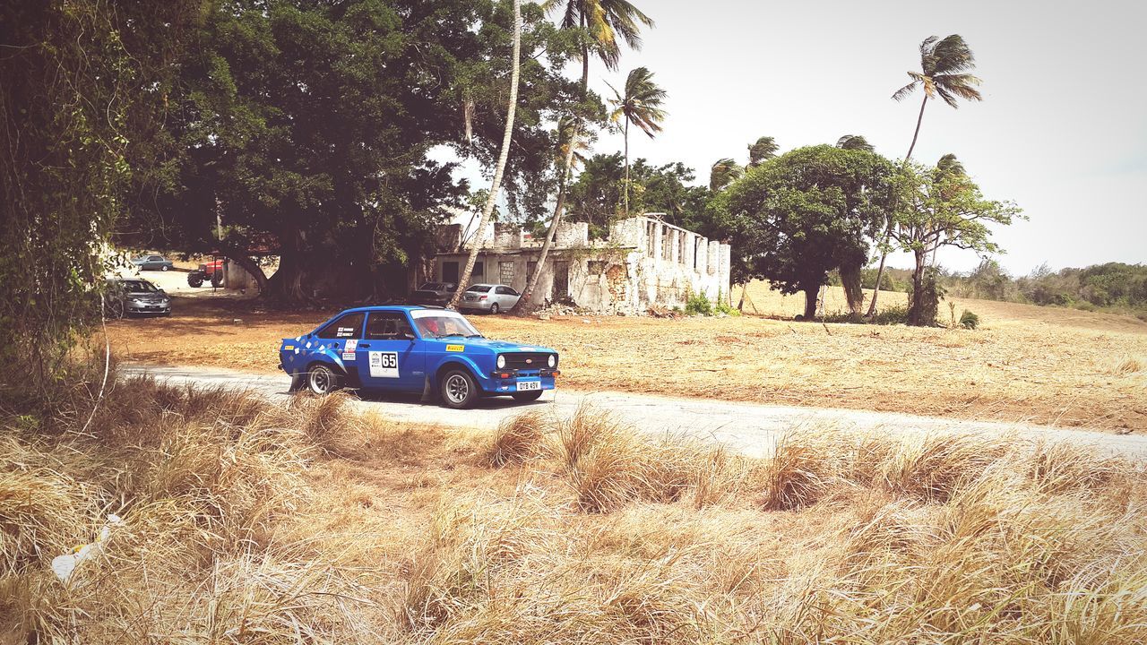 Rallybarbados